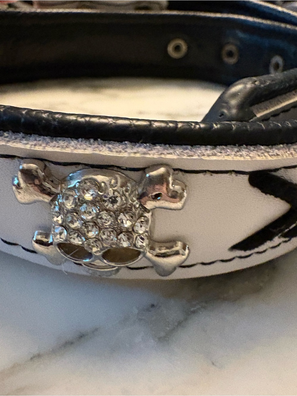 White and Black Crystal Skull Accent Dog Collar